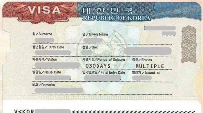 Visa du lịch Hàn Quốc được chia thành nhiều loại khác nhau, tùy mục đích của chủ thể