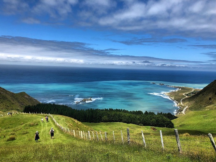 Các loại visa New Zealand phổ biến bạn cần biết 