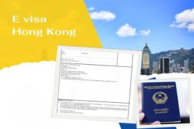 Đăng ký evisa Hong Kong cần gì? Tổng hợp những thông tin quan trọng giúp bạn hoàn thiện evisa Hong Kong