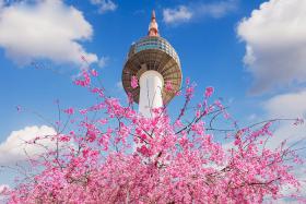 Chi tiết cách xin visa đi Hàn Quốc từ sau ngày 25/4 tại Hà Nội