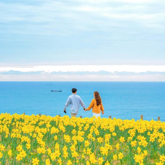 phí xin visa Hàn Quốc