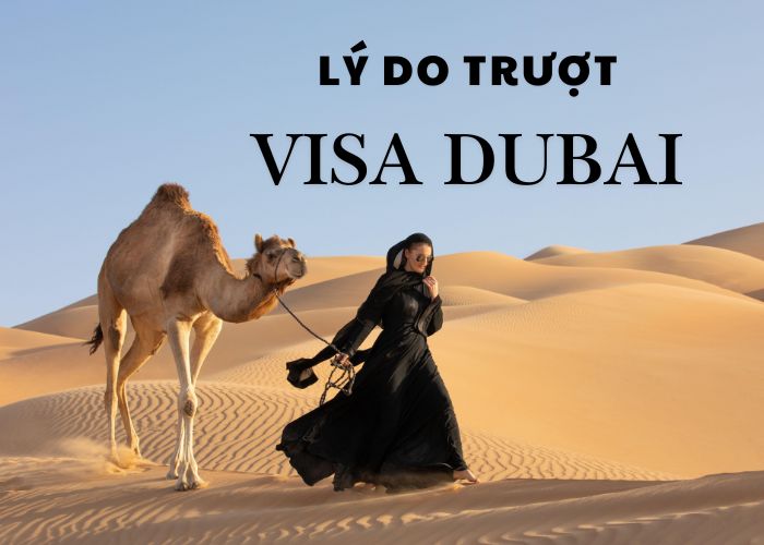 Top 7 lý do trượt visa Dubai phổ biến nhất và bí quyết tăng tỷ lệ đậu