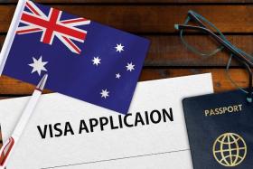 Lý do trượt visa New Zealand: Tổng hợp chi tiết và cách tránh