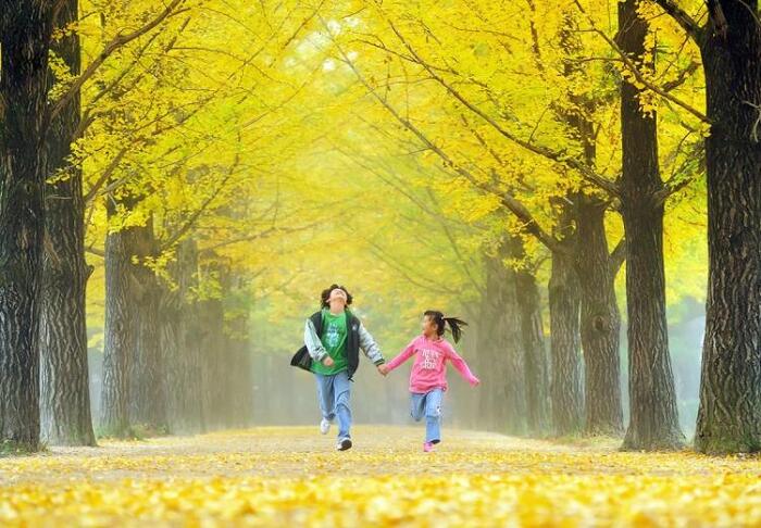 điều kiện xin visa hàn: Hàn Quốc sẽ có miễn visa du lịch tại đất nước này đối với một số những đối tượng và trường hợp nhất định,