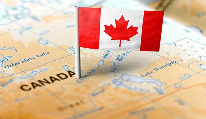 Nguyên nhân trượt visa đi Canada thường gặp và cách xử lý