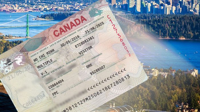 Nguyên nhân trượt visa đi Canada thường gặp và cách xử lý