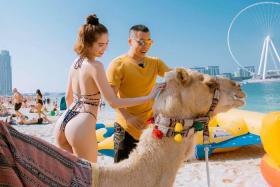 Xin visa đi Dubai có khó không?