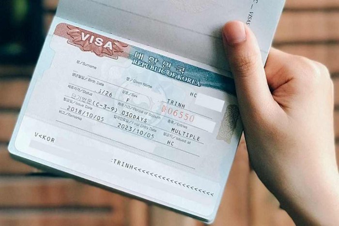 Visa thương mại Hàn Quốc là gì?